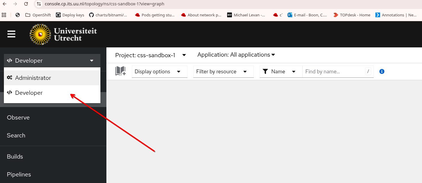 developer-perspective.png